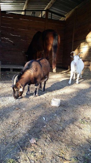 Location de vacances - Gîte à Servas