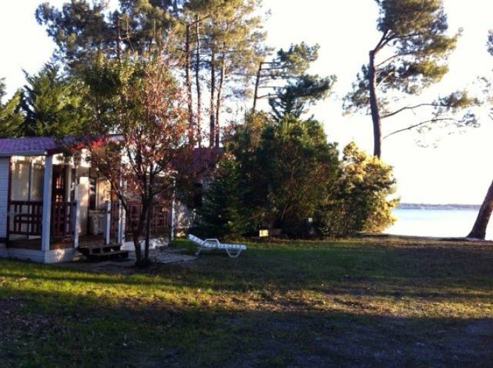 Location de vacances - Chalet à Parentis-en-Born - chalet et vue du lac