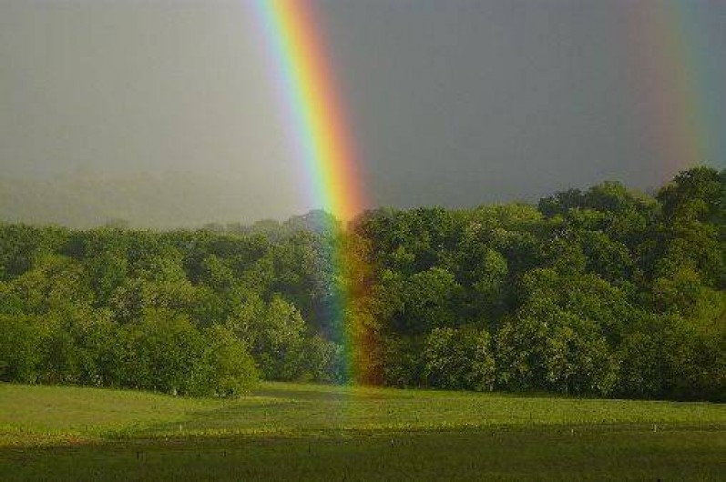 Location de vacances - Gîte à Lucq-de-Béarn - Vue sur la campagne