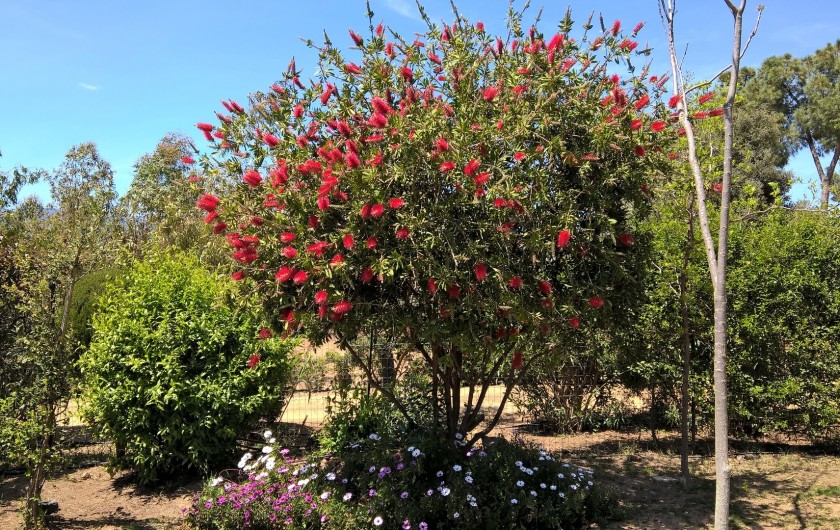 Location de vacances - Maison - Villa à Pula