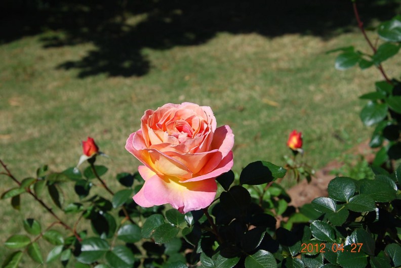 Location de vacances - Maison - Villa à Pula