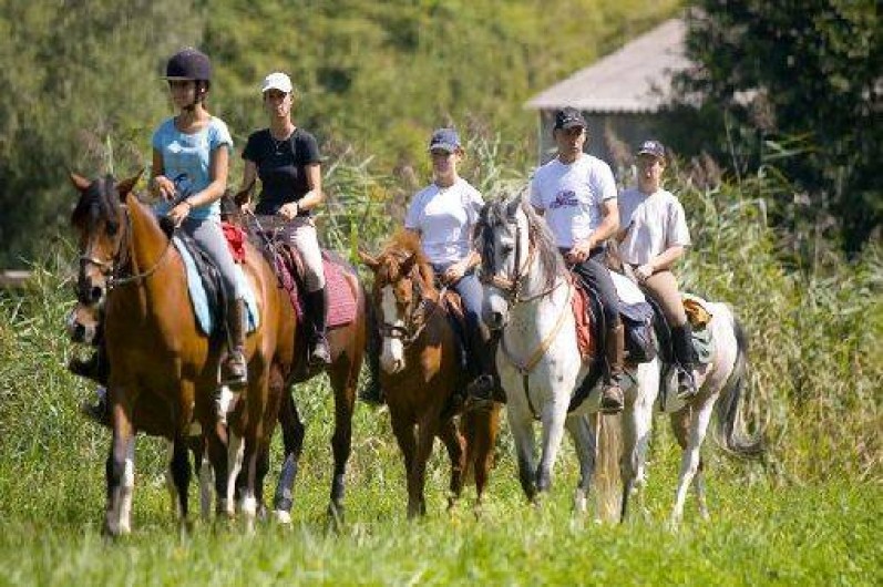 Location de vacances - Camping à Saint-Jean-de-Valériscle