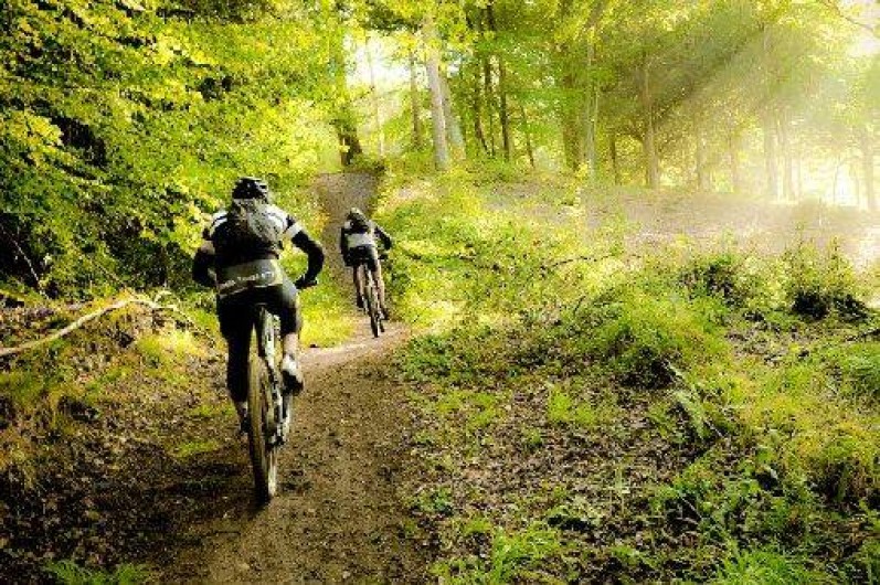 Location de vacances - Camping à Saint-Jean-de-Valériscle