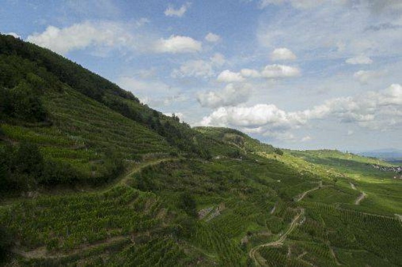 Location de vacances - Gîte à Kaysersberg