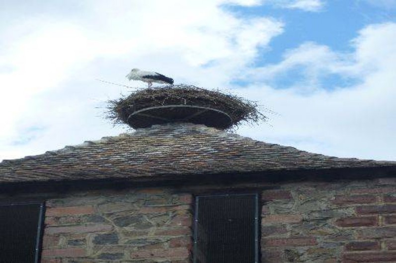 Location de vacances - Gîte à Kaysersberg