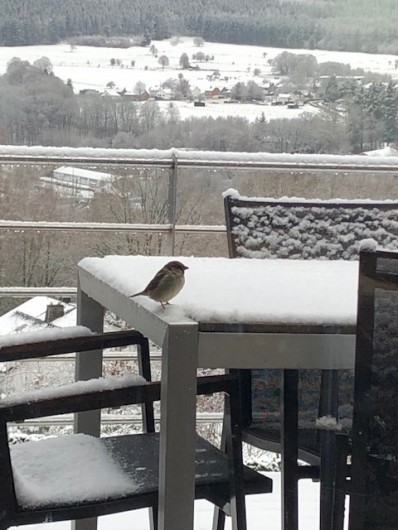 Location de vacances - Villa à Vielsalm - Terrasse en hiver