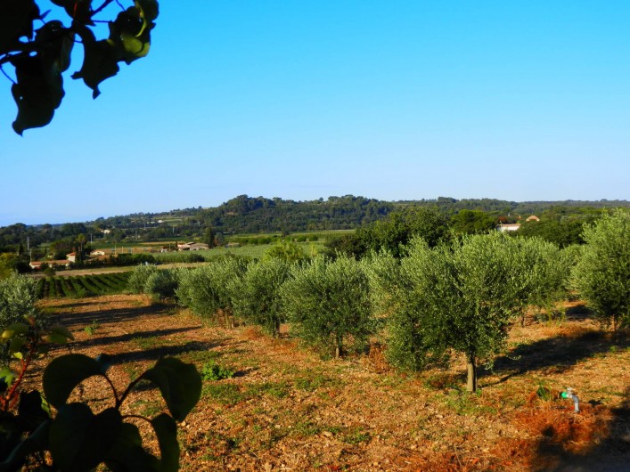 Location de vacances - Gîte à Pézenas