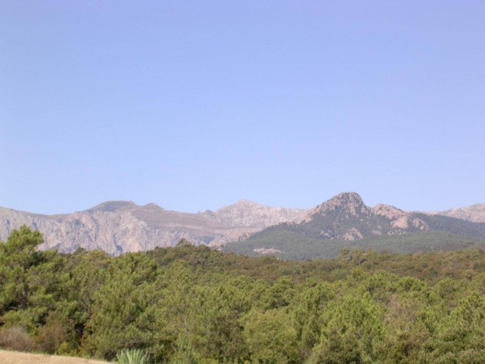 Location de vacances - Villa à Sari-Solenzara