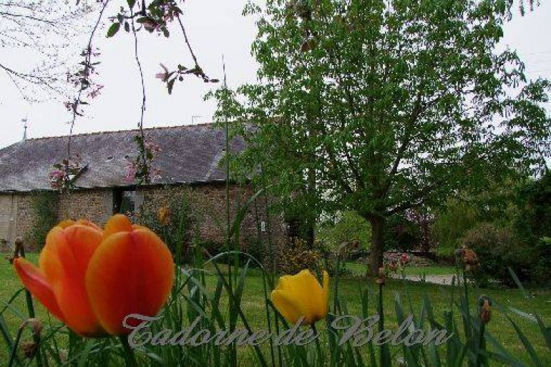 Location de vacances - Gîte à Pleudihen-sur-Rance - FLeurs