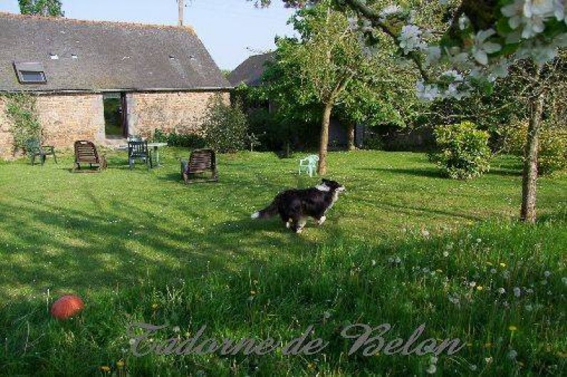 Location de vacances - Gîte à Pleudihen-sur-Rance - Côté ouest