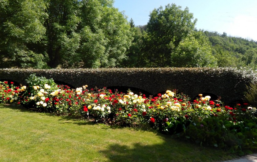Location de vacances - Gîte à Meyras - jardin paysagé (à v/disposi-tion si vous aimez vous reposer dans la verdure.