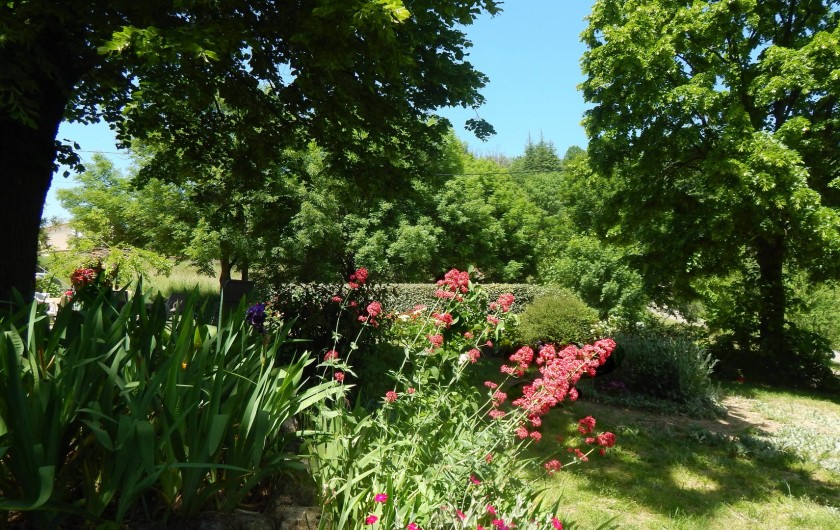 Location de vacances - Gîte à Meyras - beaucoup d'ombrage