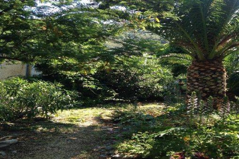 Location de vacances - Villa à Canari - jardin