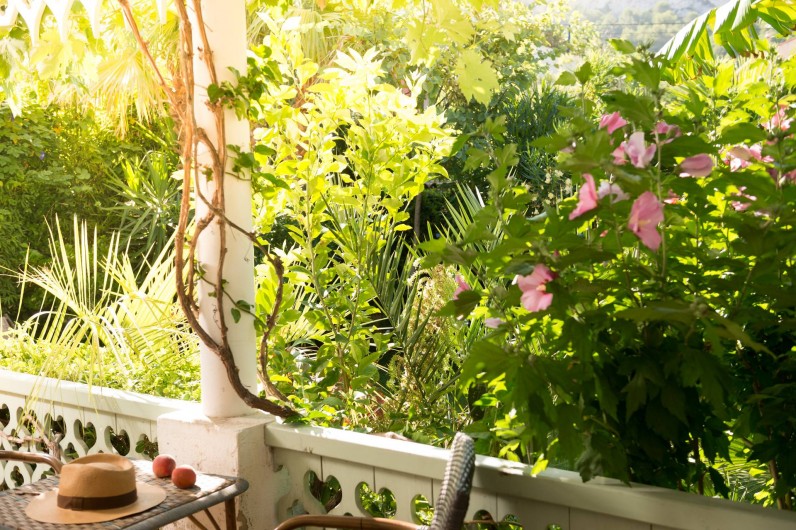 Location de vacances - Chambre d'hôtes à Marseille - le jardin exotique de la maison d'hôtes dans les calanques de marseille
