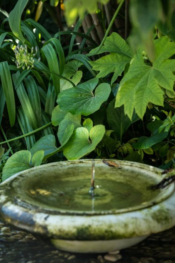 Location de vacances - Chambre d'hôtes à Marseille - le jardin de notre maison d'hôte en bord de mer dans les calanques de Marseille