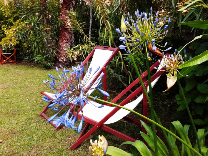 Location de vacances - Chambre d'hôtes à Marseille - le jardin des chambres d'hôtes en bord de mer