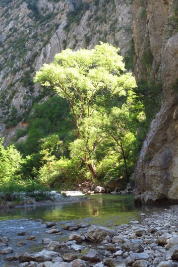 Location de vacances - Villa à Nyons - randonnée pas des Ondes