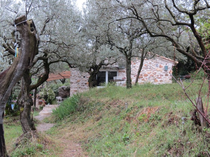 Location de vacances - Villa à Nyons - le cabanon dans les oliviers.