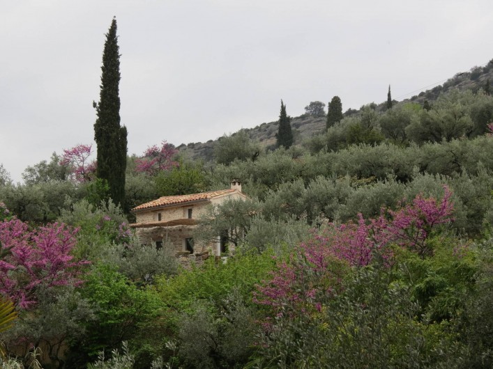 Location de vacances - Villa à Nyons