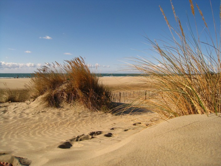 Location de vacances - Appartement à Le Cap d'Agde