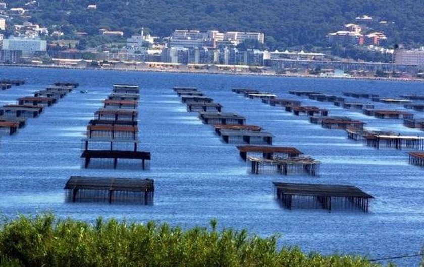 Location de vacances - Appartement à Pézenas - A MOINS DE 15KMS L'ETANG DE THAU