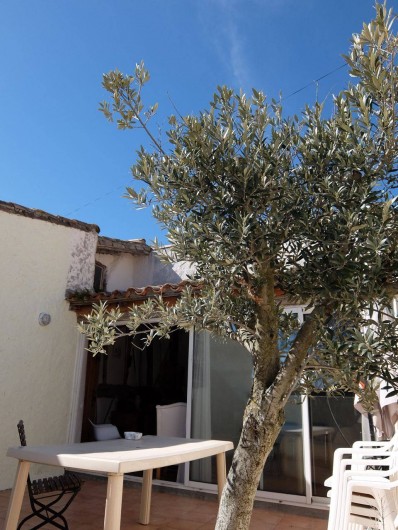 Location de vacances - Chambre d'hôtes à Montolieu