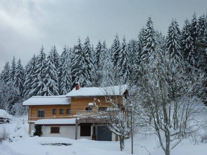 Location de vacances - Chalet à Gérardmer