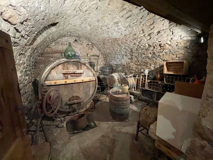 Location de vacances - Gîte à La Cresse - La cave