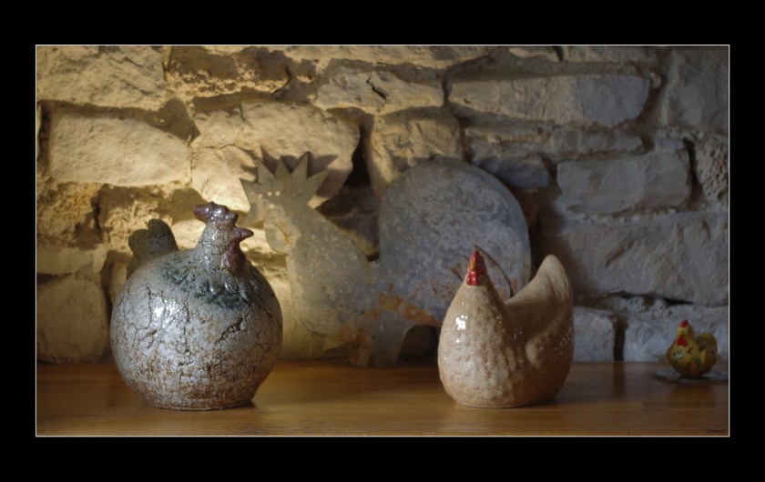 Location de vacances - Gîte à La Cresse - Les poules
