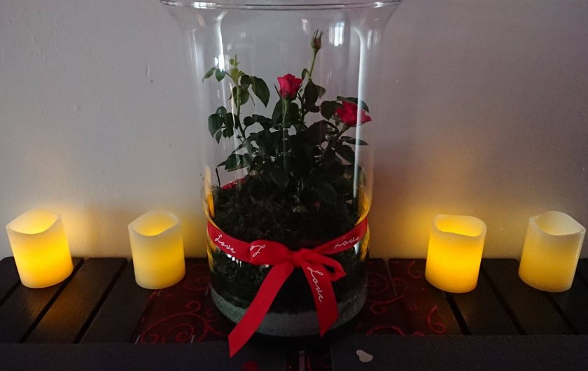 Location de vacances - Gîte à Puivert - Piccolove