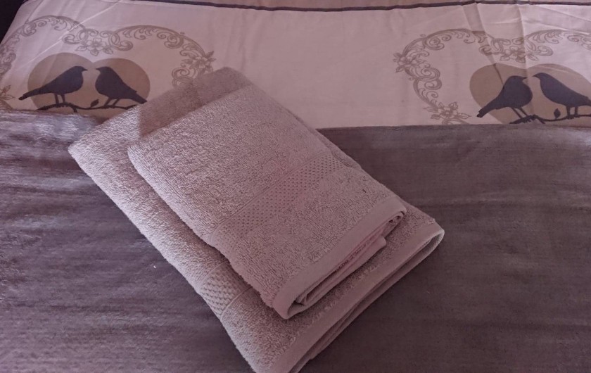 Location de vacances - Gîte à Puivert - Piccolove