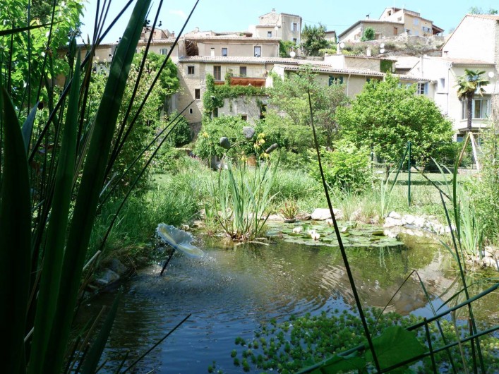 Location de vacances - Gîte à Mollans-sur-Ouvèze - Vue  du gite depuis le fond du jardin