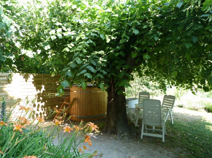 Location de vacances - Gîte à Mollans-sur-Ouvèze - Sous le tilleul