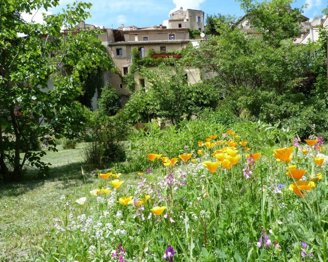 Location de vacances - Gîte à Mollans-sur-Ouvèze - Le jardin fleuri en été