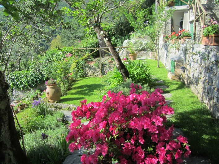 Location de vacances - Villa à La Spezia - Le jardin plein de fleurs