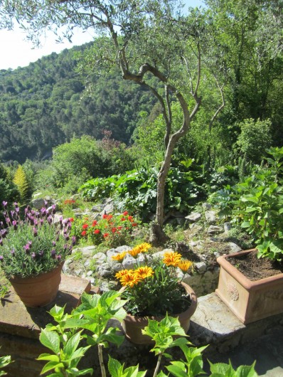 Location de vacances - Villa à La Spezia - Le jardin plein de fleurs