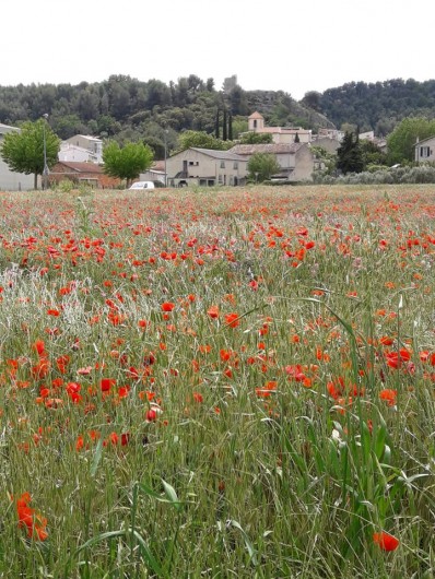 Location de vacances - Chambre d'hôtes à Simiane-Collongue