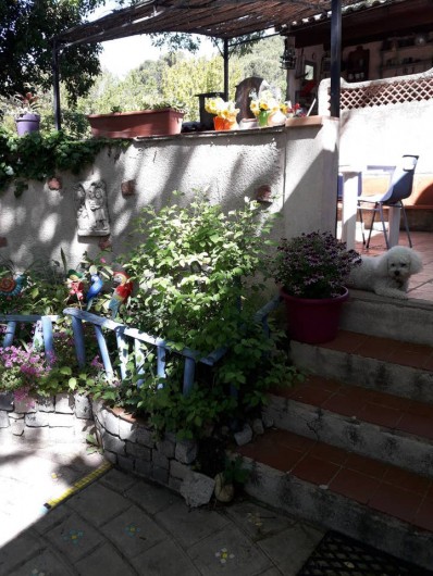 Location de vacances - Chambre d'hôtes à Simiane-Collongue