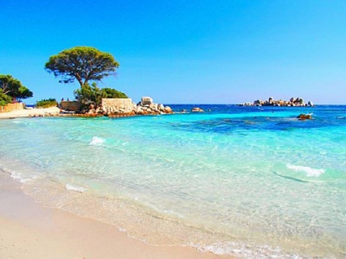 Location de vacances - Chambre d'hôtes à Simiane-Collongue