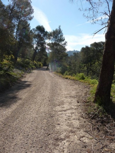 Location de vacances - Chambre d'hôtes à Simiane-Collongue