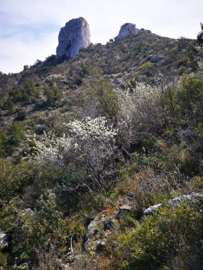 Location de vacances - Chambre d'hôtes à Simiane-Collongue