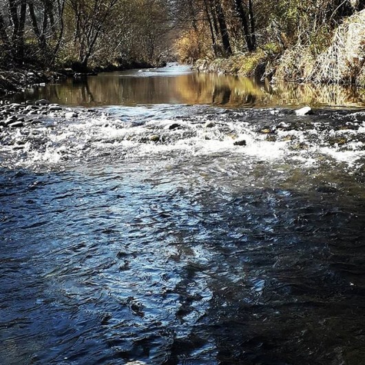 Location de vacances - Hôtel - Auberge à Saint-Paul-de-Fenouillet
