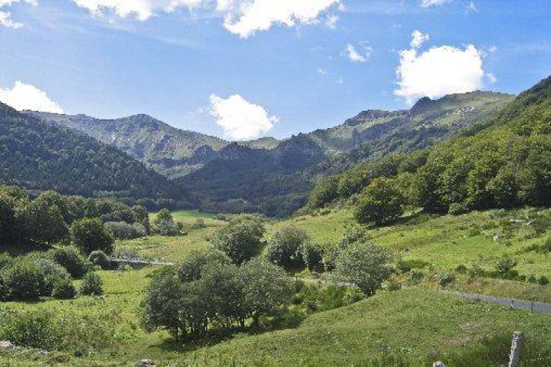 Location de vacances - Camping à Murol