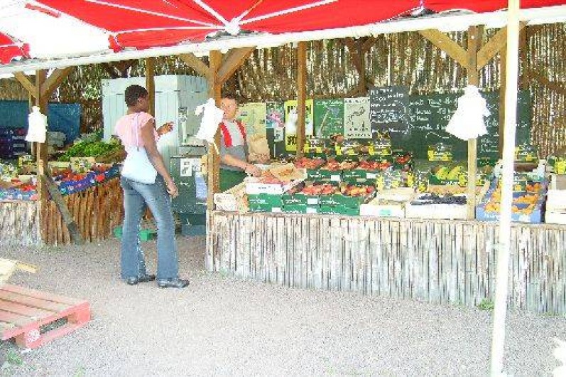 Location de vacances - Camping à Murol