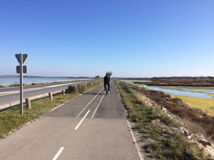 Location de vacances - Villa à Frontignan - Piste cyclable à deux pas de la villa, la nature tout près!