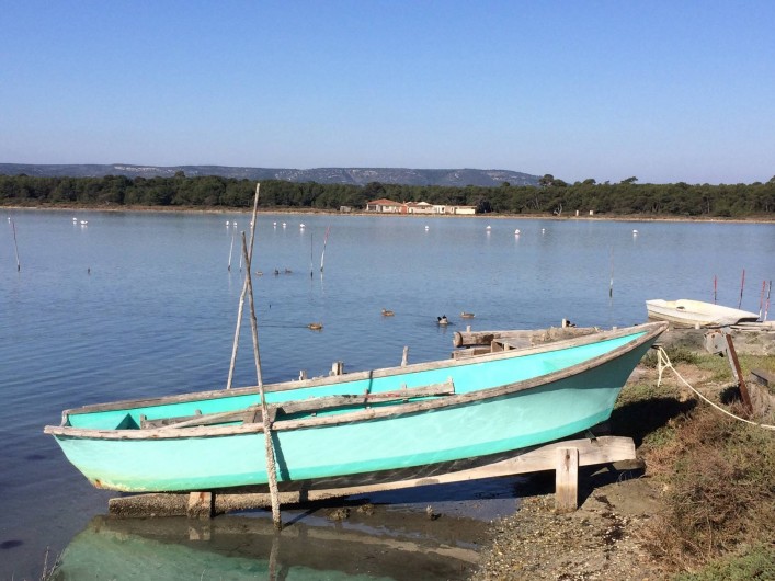Location de vacances - Villa à Frontignan - Flamands roses et oiseaux de toutes sortes se partagent l'étang d'Ingril