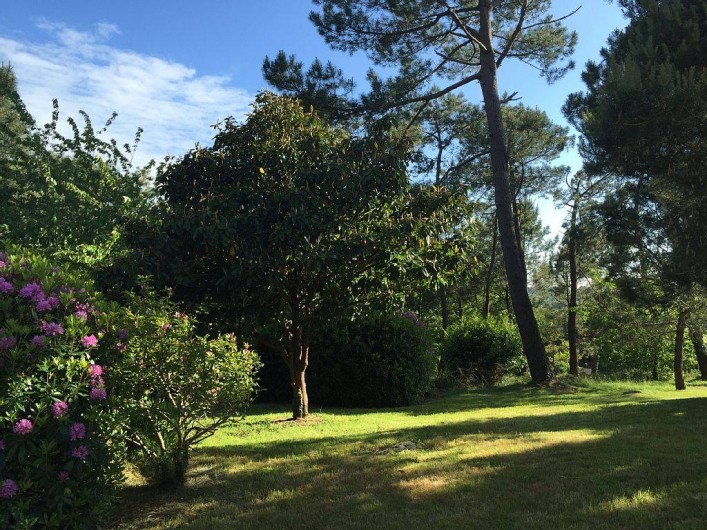 Location de vacances - Maison - Villa à Douarnenez