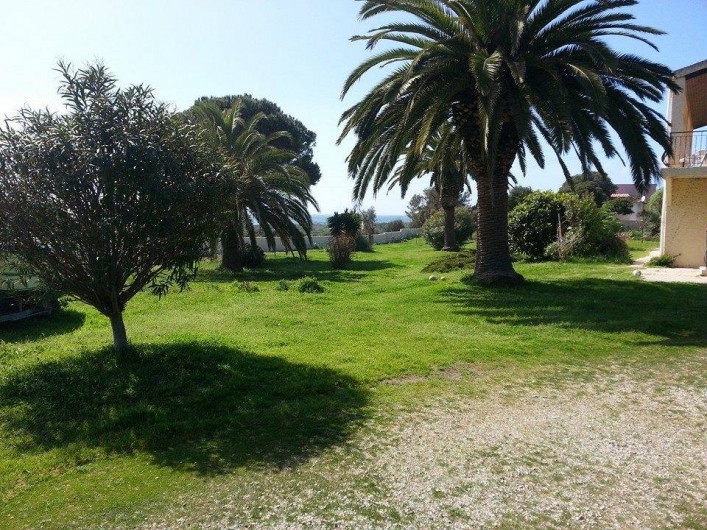 Location de vacances - Appartement à Cargèse - Jardin