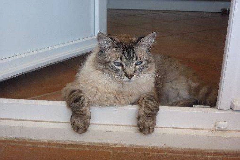 Location de vacances - Chambre d'hôtes à Saint-Thibéry