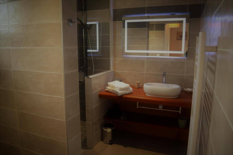 Location de vacances - Gîte à Esclottes - Salle d'eau avec douche et w.c